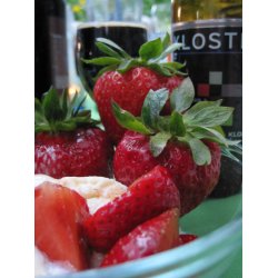 Kloster Stout 33, kologisk