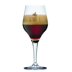 Gouden Carolus Imperial Dark, 20 L