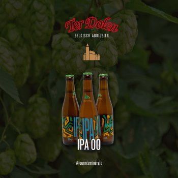 Ter Dolen IPA alkoholfri 33 cl
