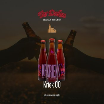 Ter Dolen Kriek alkoholfri 33 cl