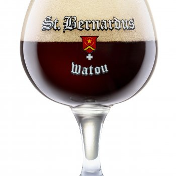 ST. Bernardus Prior 8, 20 L